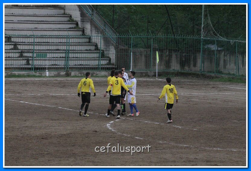 130119 spadaf 301_tn.jpg